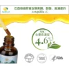 ApisBrasil® 巴西綠蜂膠含高濃度ARC