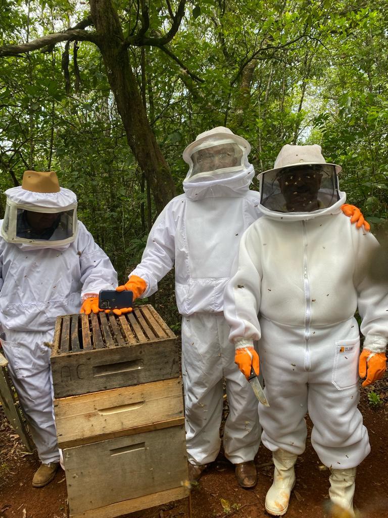 綠蜂膠養殖環境