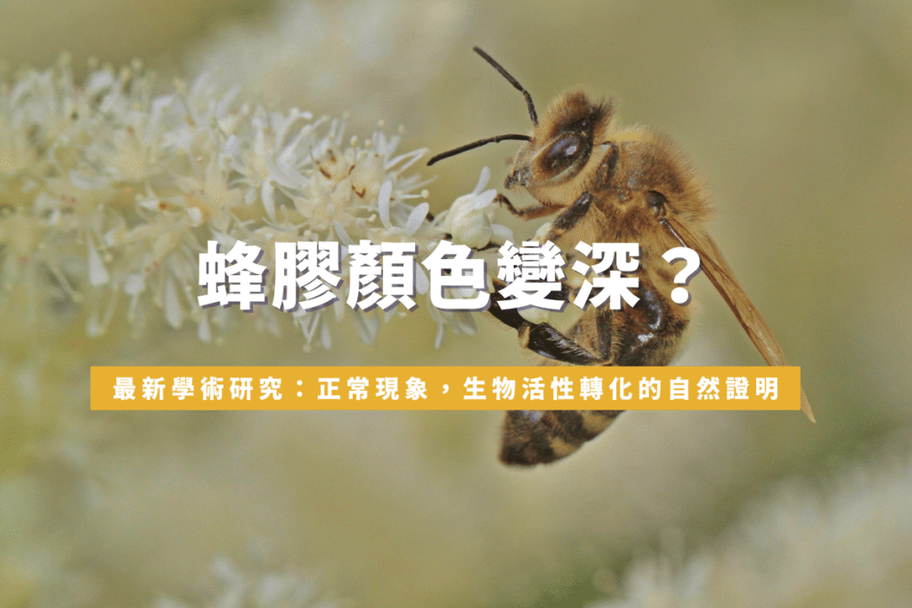 蜂膠顏色變深？最新學術研究：正常現象，生物活性轉化的自然證明
